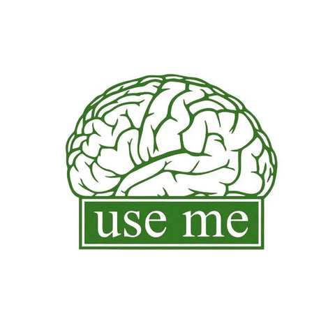 Use Your Brain" Motivational Quote Wall Sticker - Vinyl Decal for Students, School, Office & Home Decals The Wall Valley