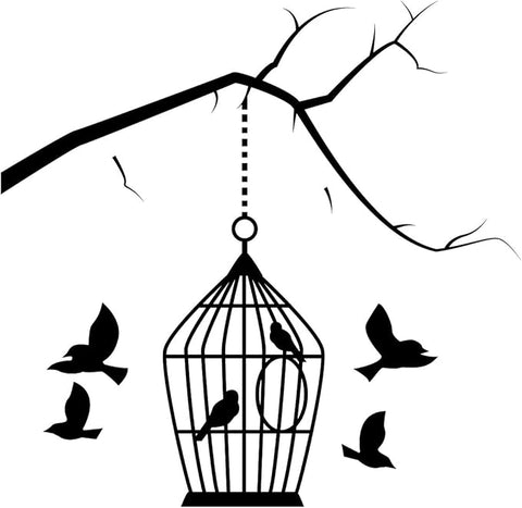 Bird Cage Wall Switch Sticker | Decorative Home Décor Decal The Wall Valley