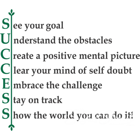SUCCESS Wall Decal stay focused and achieve greatness wall decal - The Wall Valley